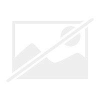 Dreamtime von the - dreamtime,